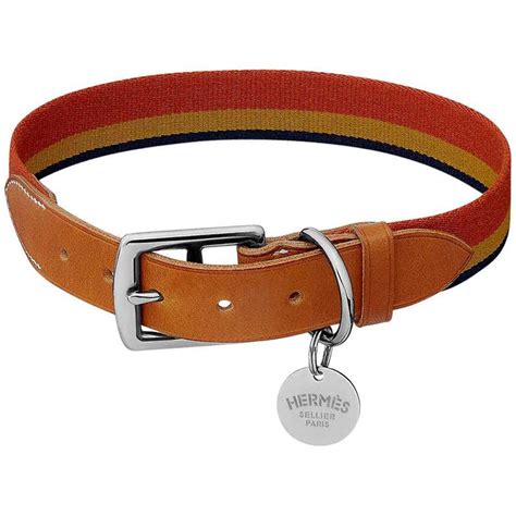 hermes dog collar|hermes dog collars for sale.